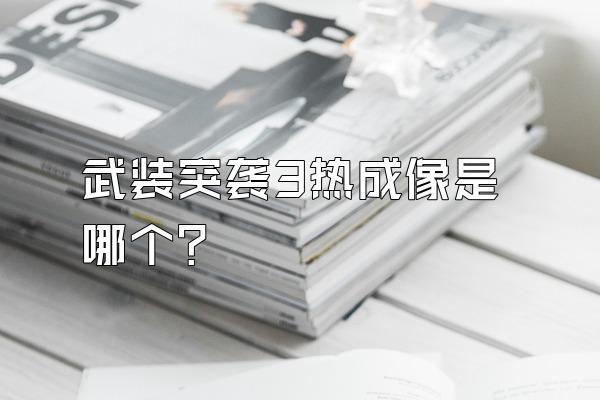 武装突袭3热成像是哪个？