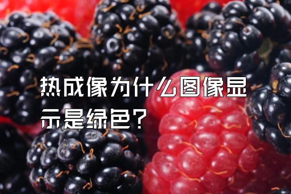 热成像为什么图像显示是绿色？