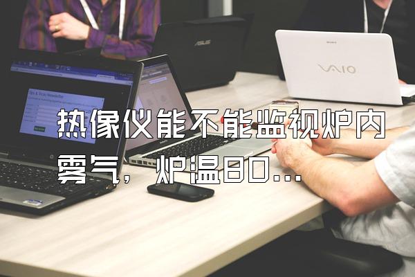 热像仪能不能监视炉内雾气，炉温800度？