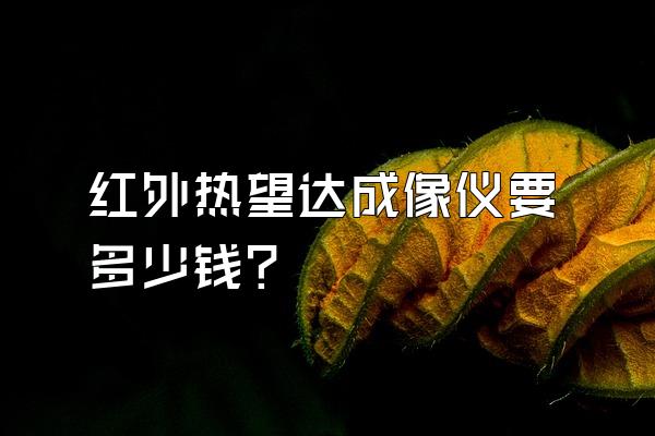 红外热望达成像仪要多少钱?