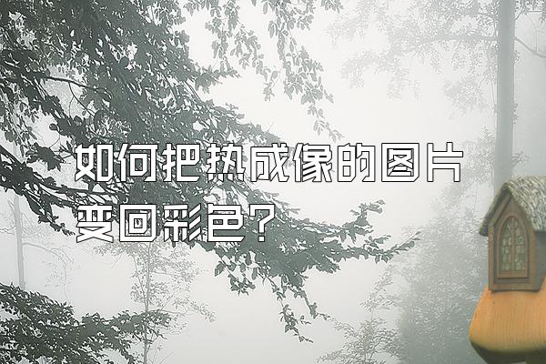 如何把热成像的图片变回彩色?