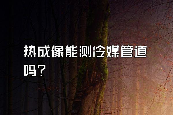 热成像能测冷媒管道吗?