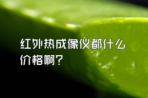 红外热成像仪都什么价格啊?