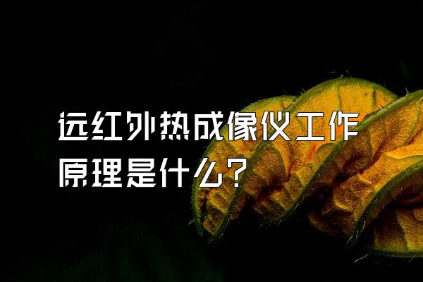 远红外热成像仪工作原理是什么?