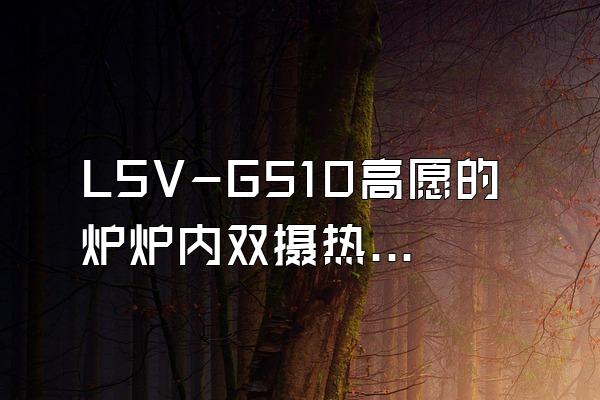 LSV-G510高愿的炉炉内双摄热成像系统的介绍