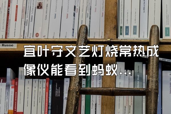 宜叶守文艺灯烧常热成像仪能看到蚂蚁360问答吗