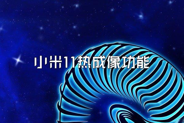 小米11热成像功能