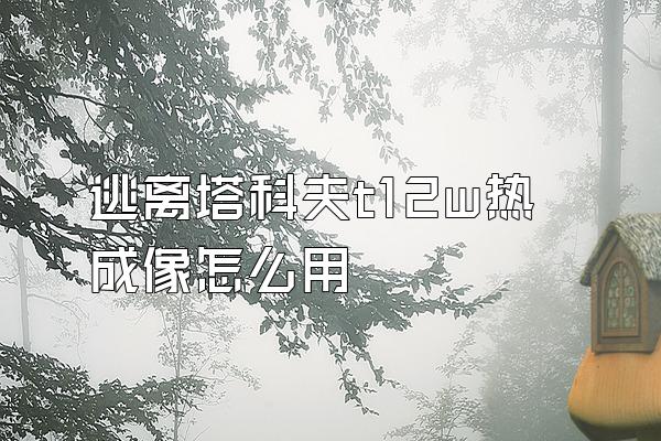 逃离塔科夫t12w热成像怎么用