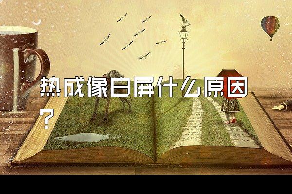 热成像白屏什么原因?