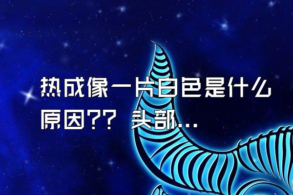 热成像一片白色是什么原因?? 头部正面热成像全白是什么意思