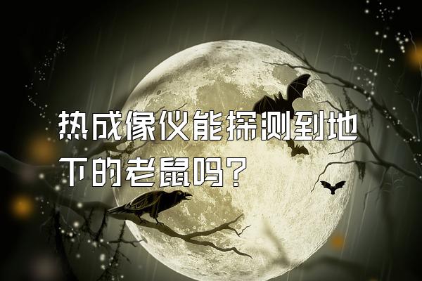 热成像仪能探测到地下的老鼠吗?