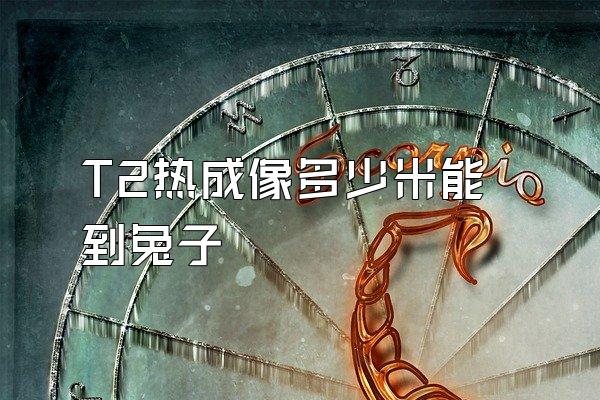 T2热成像多少米能到兔子