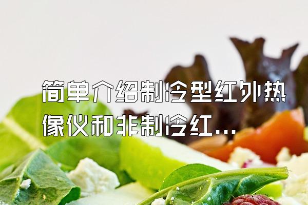 简单介绍制冷型红外热像仪和非制冷红外热成像仪的区别?