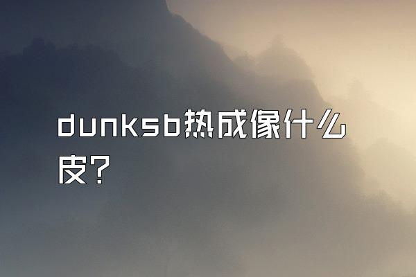 dunksb热成像什么皮?