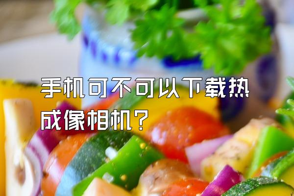 手机可不可以下载热成像相机?