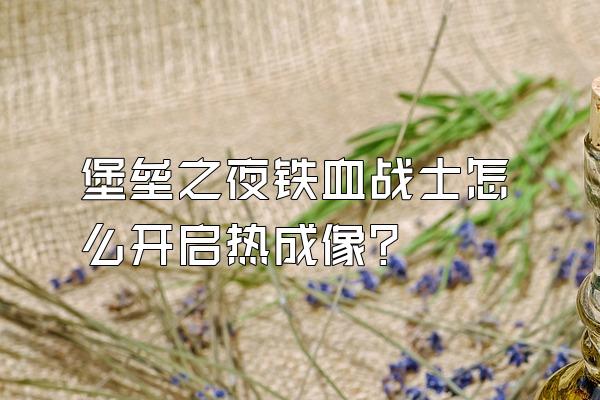 堡垒之夜铁血战士怎么开启热成像?