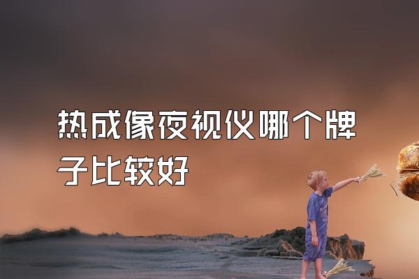 热成像夜视仪哪个牌子比较好