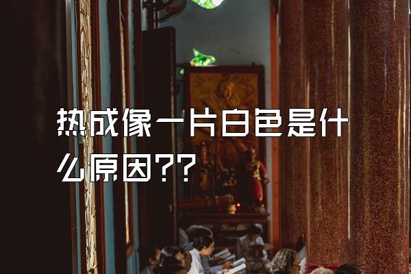 热成像一片白色是什么原因??