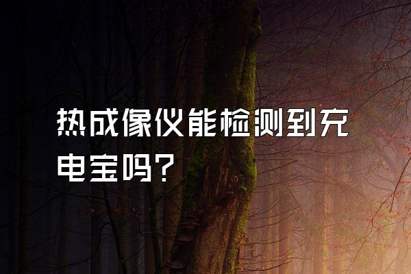 热成像仪能检测到充电宝吗?