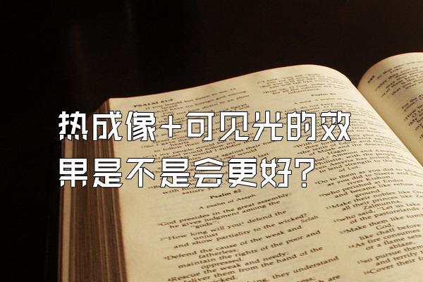 热成像+可见光的效果是不是会更好?