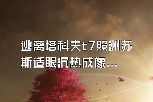 逃离塔科夫t7照洲苏斯适眼沉热成像怎么装?