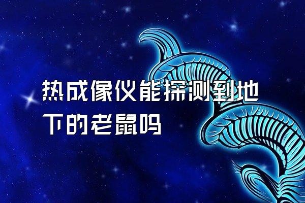 热成像仪能探测到地下的老鼠吗