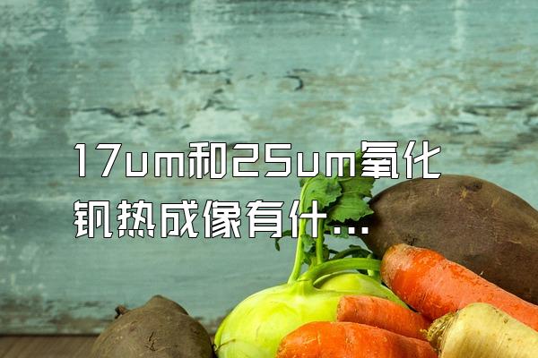 17um和25um氧化钒热成像有什么区别