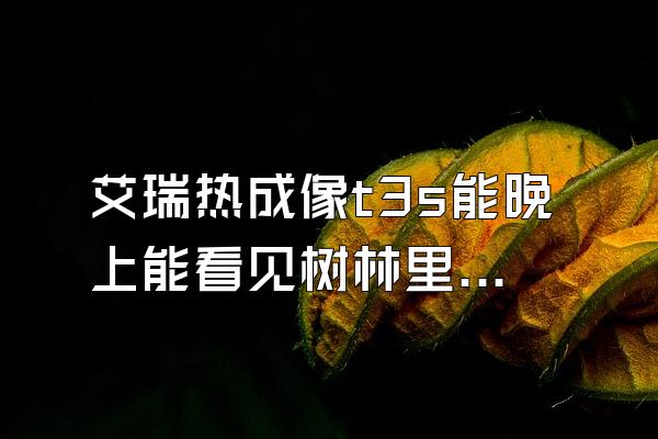 艾瑞热成像t3s能晚上能看见树林里的鸟吗