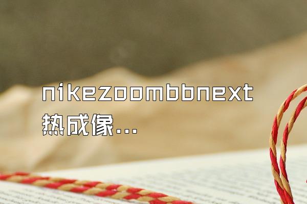 nikezoombbnext热成像配色