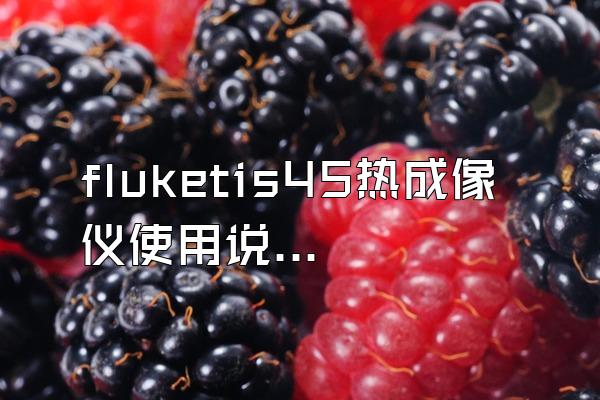 fluketis45热成像仪使用说明书