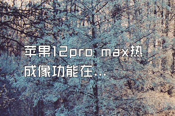 苹果12pro max热成像功能在吗