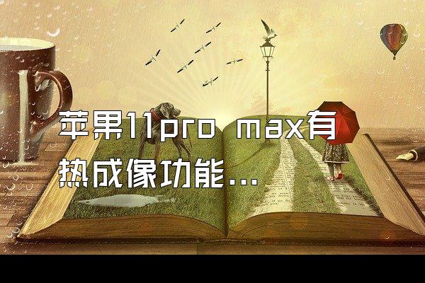 苹果11pro max有热成像功能吗