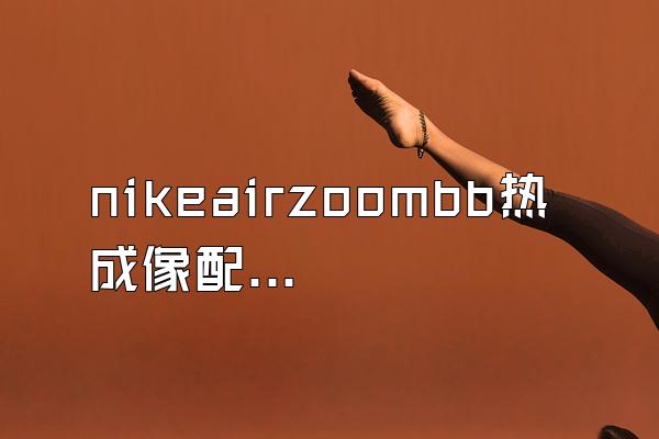 nikeairzoombb热成像配色