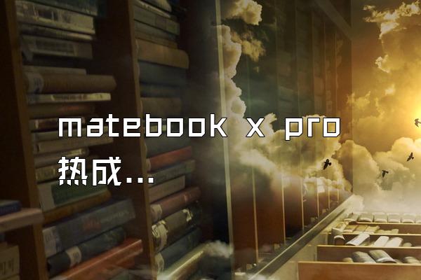 matebook x pro 热成像