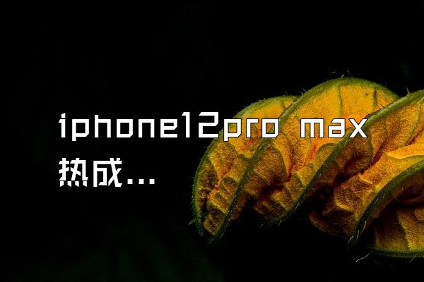 iphone12pro max热成像