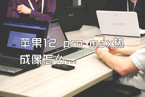 苹果12 pro max热成像怎么开