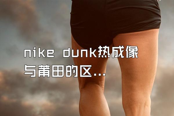 nike dunk热成像与莆田的区别