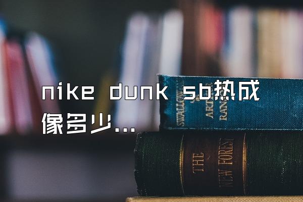 nike dunk sb热成像多少钱