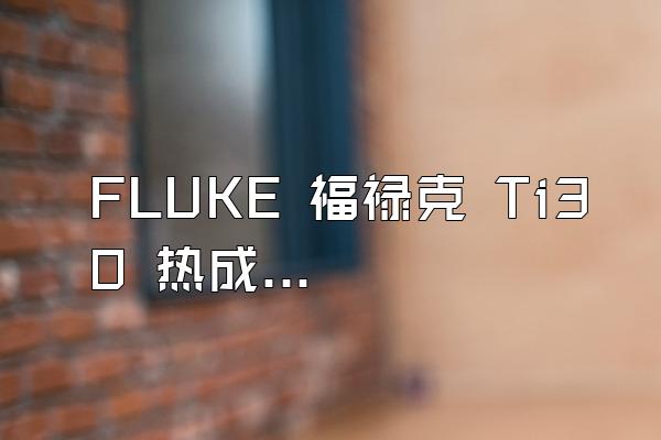 FLUKE 福禄克 Ti30 热成像