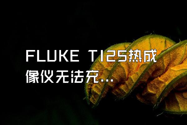 FLUKE TI25热成像仪无法充电