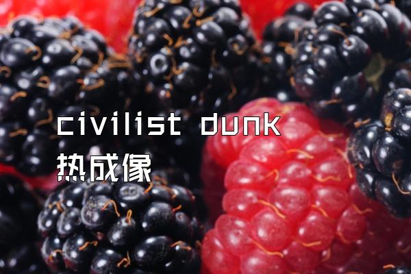 civilist dunk 热成像