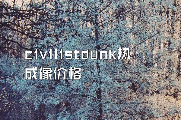 civilistdunk热成像价格