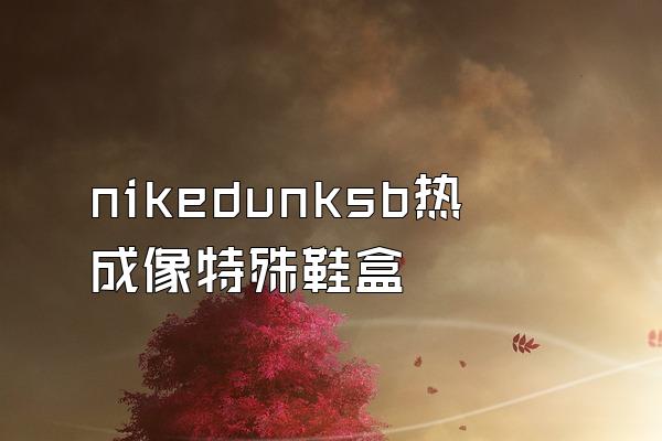 nikedunksb热成像特殊鞋盒