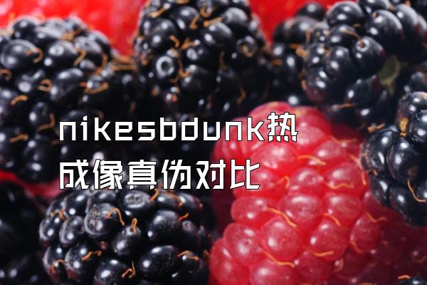 nikesbdunk热成像真伪对比