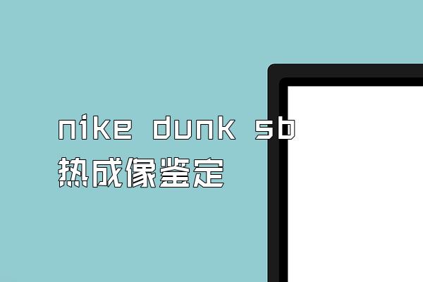 nike dunk sb热成像鉴定