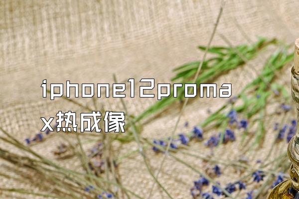 iphone12promax热成像