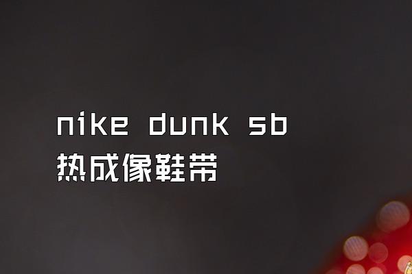 nike dunk sb热成像鞋带
