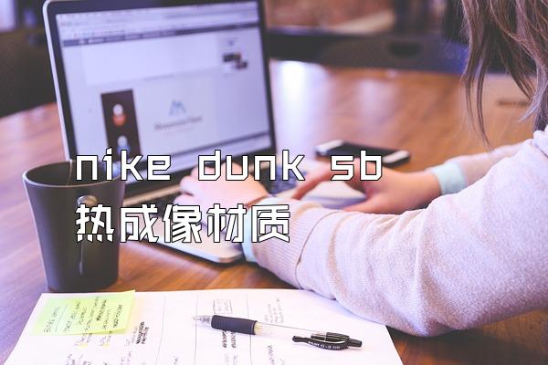 nike dunk sb热成像材质