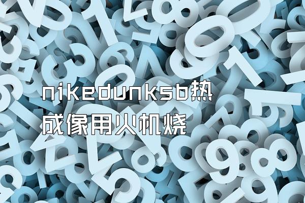 nikedunksb热成像用火机烧