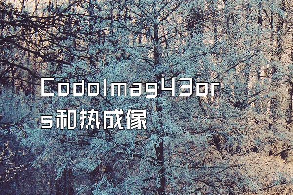 Codolmag43ors和热成像